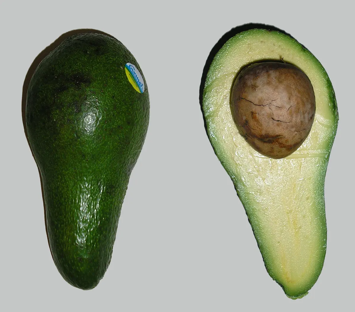 Aguacate